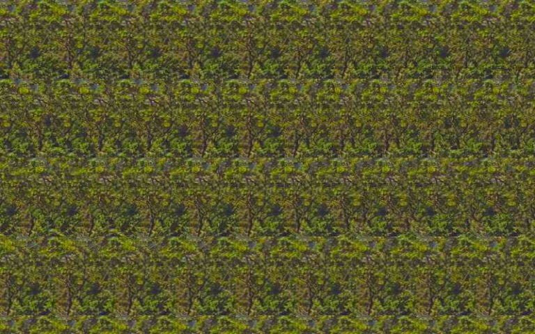 make your own stereogram